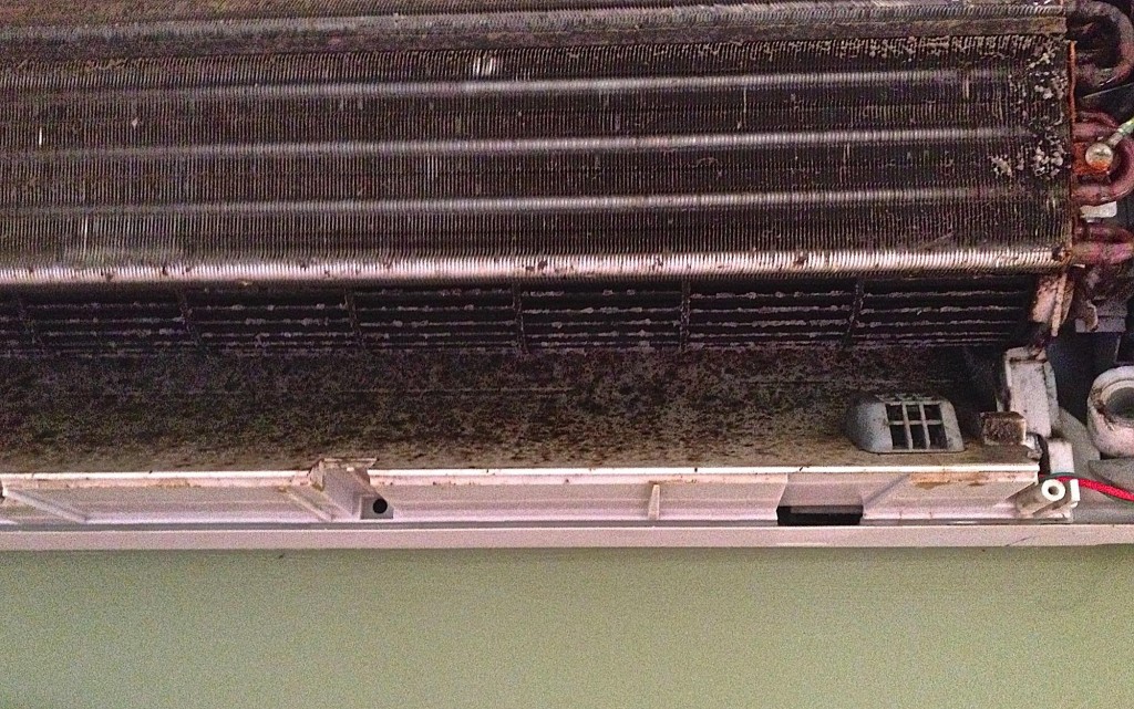 Dust accumulated on indoor unit fan and fins